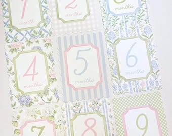 Baby Girl Pink Floral Milestone Cards, Monthly Baby Milestone Set, Baby Shower Gift, Milestone Markers, Coquette Nursery Newborn Photo Prop