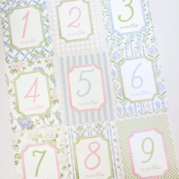 Baby Girl Pink Floral Milestone Cards, Monthly Baby Milestone Set, Baby Shower Gift, Milestone Markers, Coquette Nursery Newborn Photo Prop