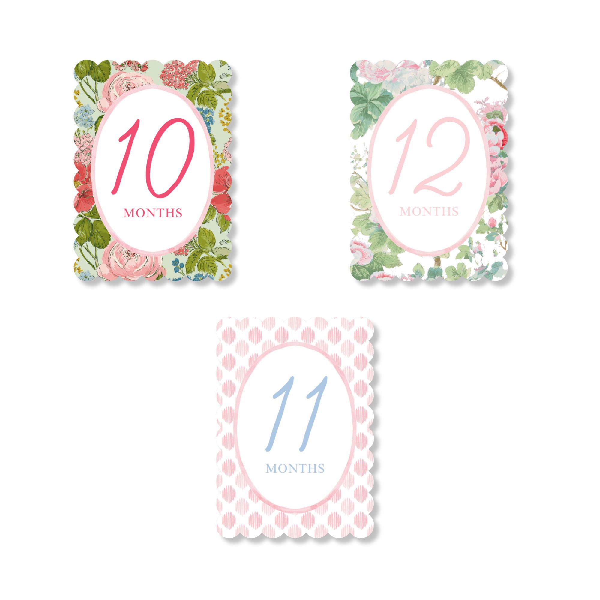 Baby Girl Pink Floral Milestone Cards, Monthly Milestone Set, Baby ...