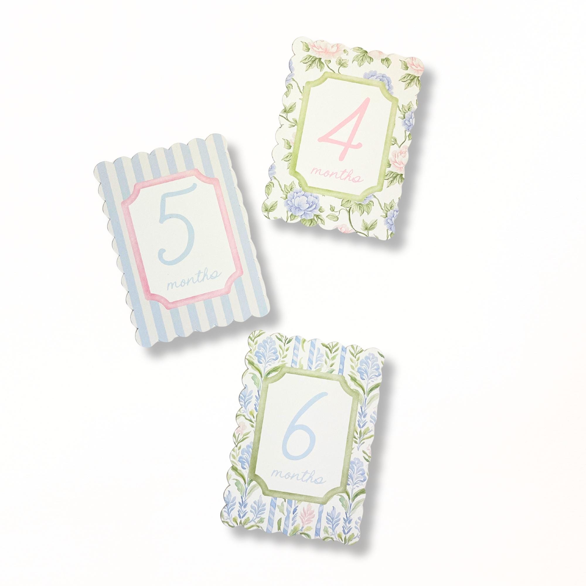 Baby Girl Pink Floral Milestone Cards, Monthly Baby Milestone Set, Baby ...