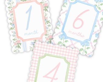 Baby Girl Pink Floral Milestone Cards, Monthly Baby Milestone Set, Baby Shower Gift, Milestone Markers, Coquette Nursery Newborn Photo Prop
