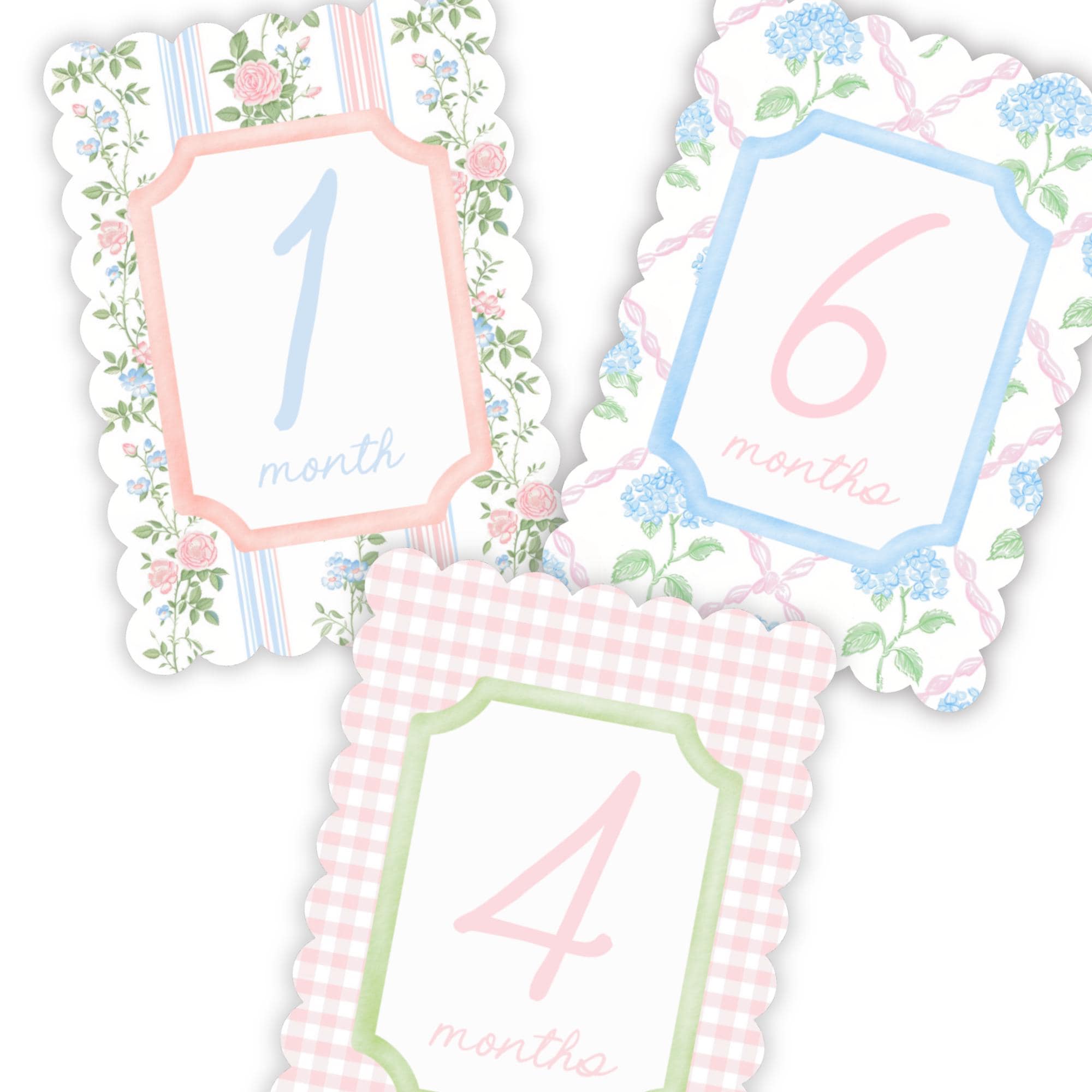 Baby Girl Pink Floral Milestone Cards, Monthly Baby Milestone Set, Baby ...