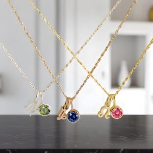 Naszyjnik z kamieniem zodiaku - łańcuszek ze srebra 925 i złota 14k - miesiąc personalizowany znak zodiaku - kolorowy kryształ