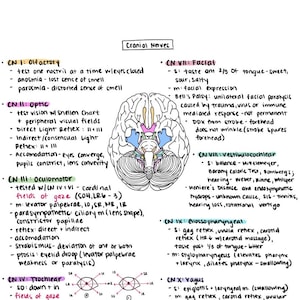 part two chiropractic (NBCE) boards notes