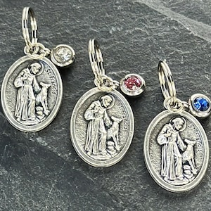 St. Francis of Assisi Bless and Protect My Pet Medal