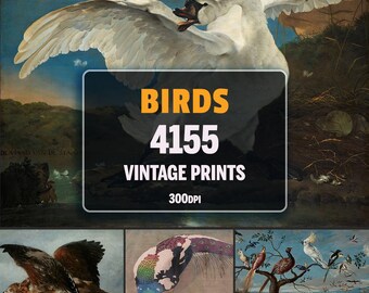 Vintage Bird Prints Mega Bundle, Antique Nature Painting (Digital Download)