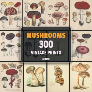 300 Vintage Mushroom Illustrations, Old Book Illustrations, Vintage Floral Prints, Mushroom Decor, Mushroom Science Poster, Botanical Print