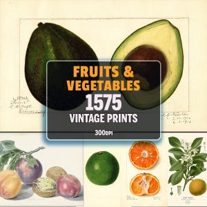 1575 illustrations de fruits et légumes vintage, illustrations de livres anciens, impressions florales vintage, lot d'art mural imprimable vintage