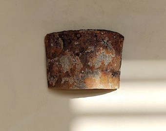 TERRACOTTA SCONCE Upcycled ceramic tile with lichen, cut and converted into a wall mounted light fixture