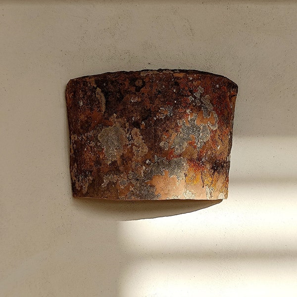 TERRACOTTA SCONCE Carreau de céramique upcyclé avec lichen, découpé et transformé en luminaire mural