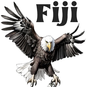 Fiji Rugby World Tournament Cup 2023 T-Shirt France, Cotton Designer Watercolour T Shirt, Flying Fijians, S M L XL 2XL 3XL 4XL 5XL