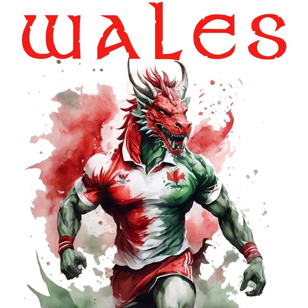 Wales Rugby T-Shirt, Cotton Designer Watercolour T Shirt, Welsh Dragon, S M L XL 2XL 3XL 4XL 5XL