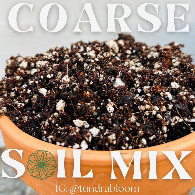 Leca Course Soil Mix Bundle image 8