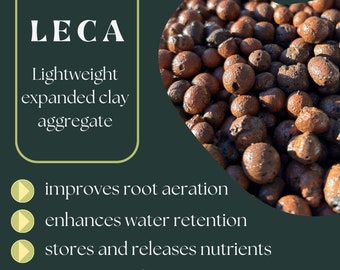 Leca for houseplants - 1 quart