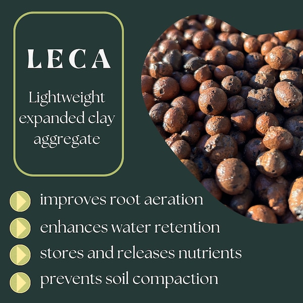 Leca for houseplants - 1 quart