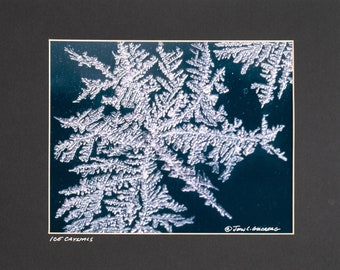 Photographic print - Ice Crystals