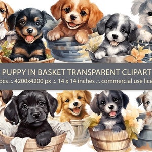 Watercolor Puppy Clipart Bundle - 10 PNG - Cute Puppy in Basket - Commercial Use - Instant Download - Dogs, Bulldog, Labrador, Retriever
