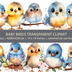 Watercolor Little Baby Birds Clipart Collection - PNG Format - Instant Download - Commercial Use - Baby Shower and Baby Room Decoration