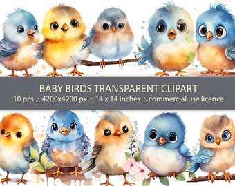 Watercolor Little Baby Birds Clipart Collection - PNG Format - Instant Download - Commercial Use - Baby Shower and Baby Room Decoration