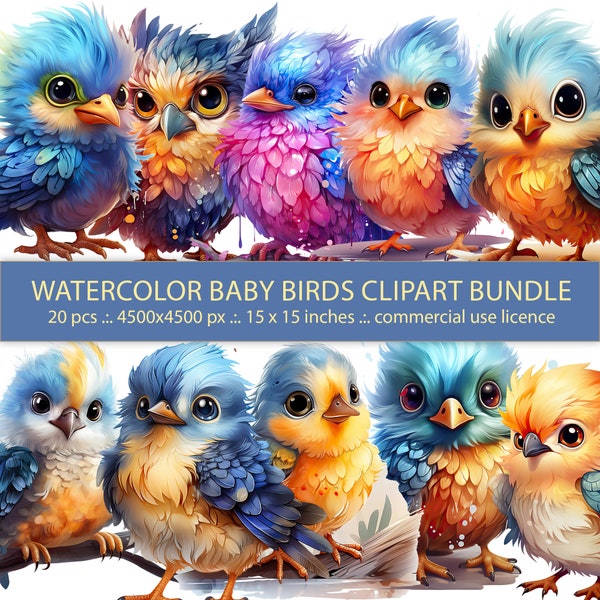 20 Watercolor Birds Clipart Bundle - Sweet 3D Baby Birds for Nursery Decor and More - Instant Download - Commercial Use
