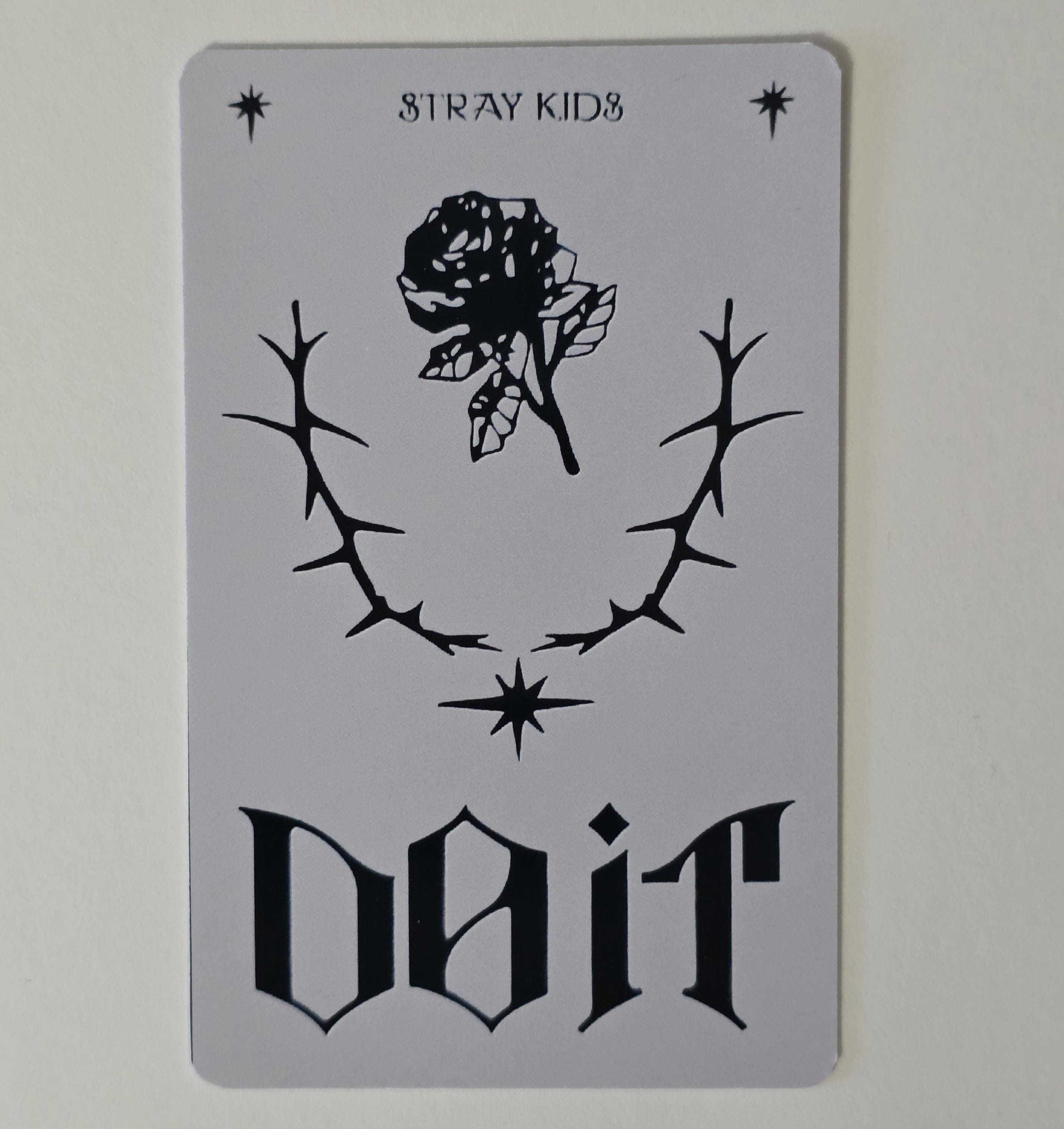 Stray Kids : Do It - Evil SKZOO Speaker POB Photocards - Etsy