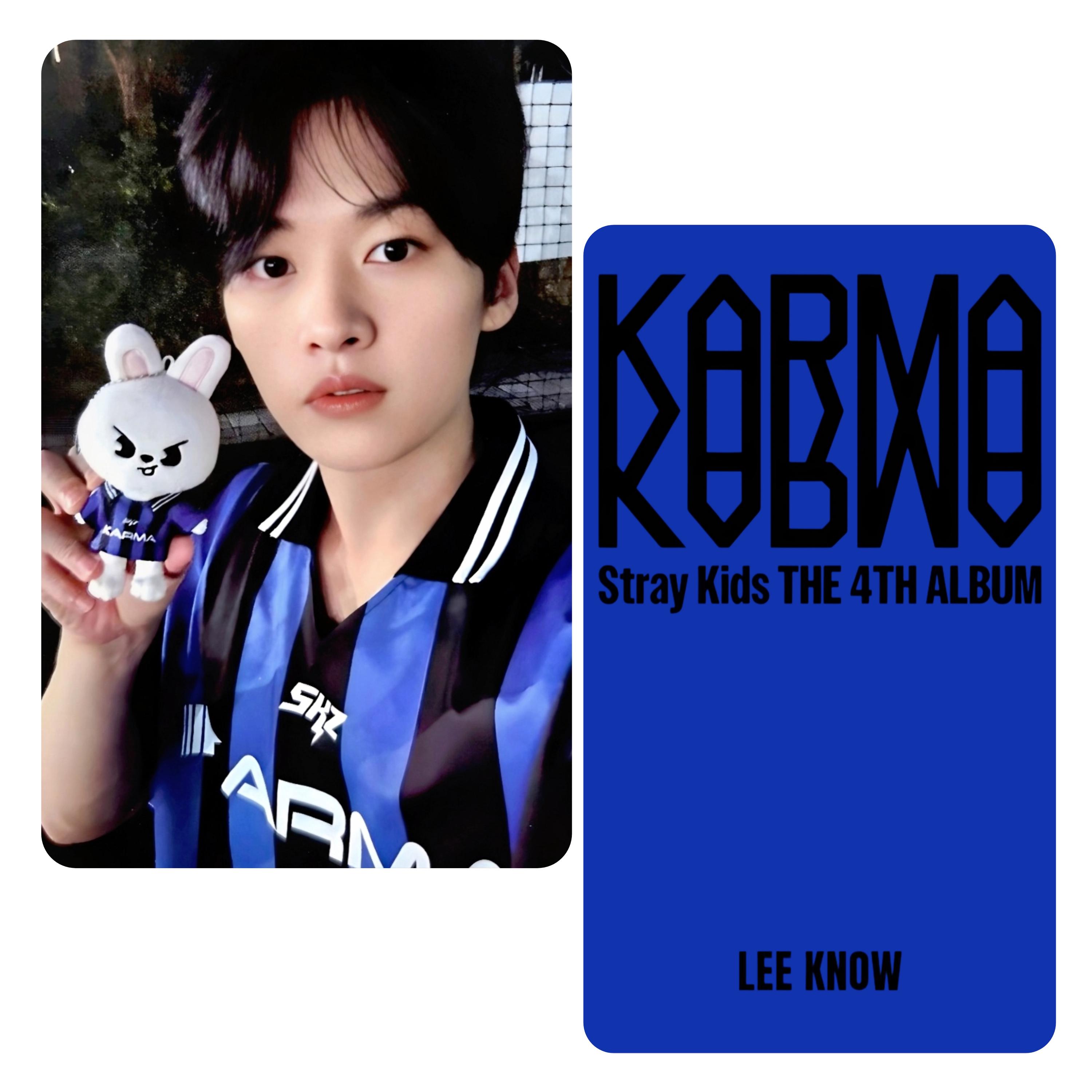 Stray Kids : Karma SKZOO Pre Order Photocards - Etsy UK