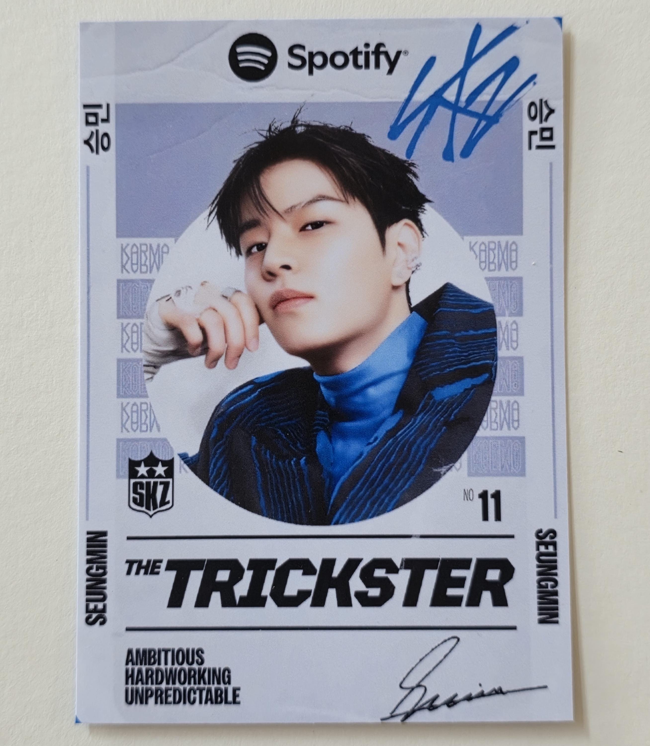 Stray Kids - Spotify Stadium Mini Photo Cards - Etsy