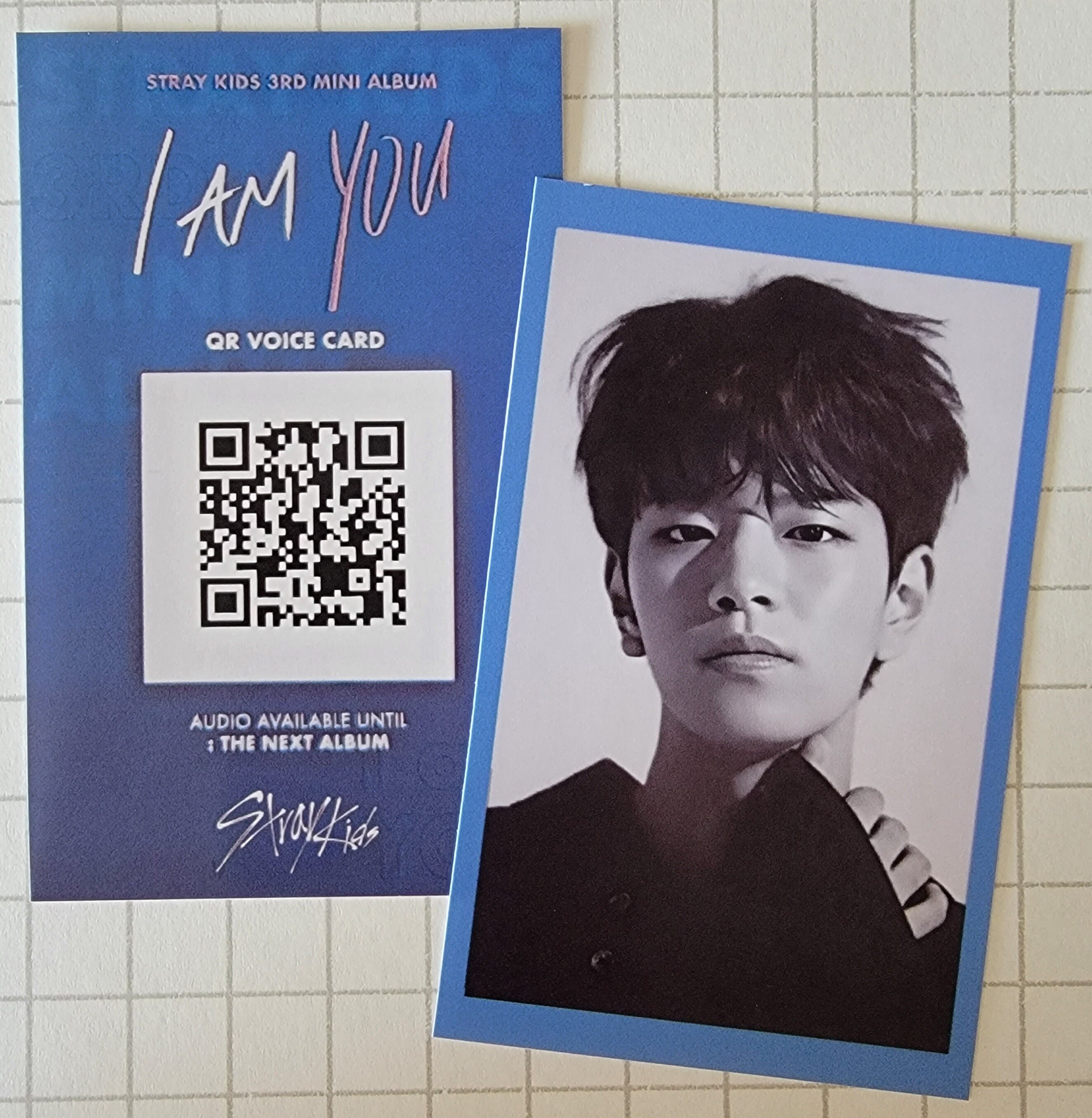 Stray Kids 激レア！I am NOT QR Voice Card STRAY KIDS I am Tour I am Not QR Voice Card Photocard