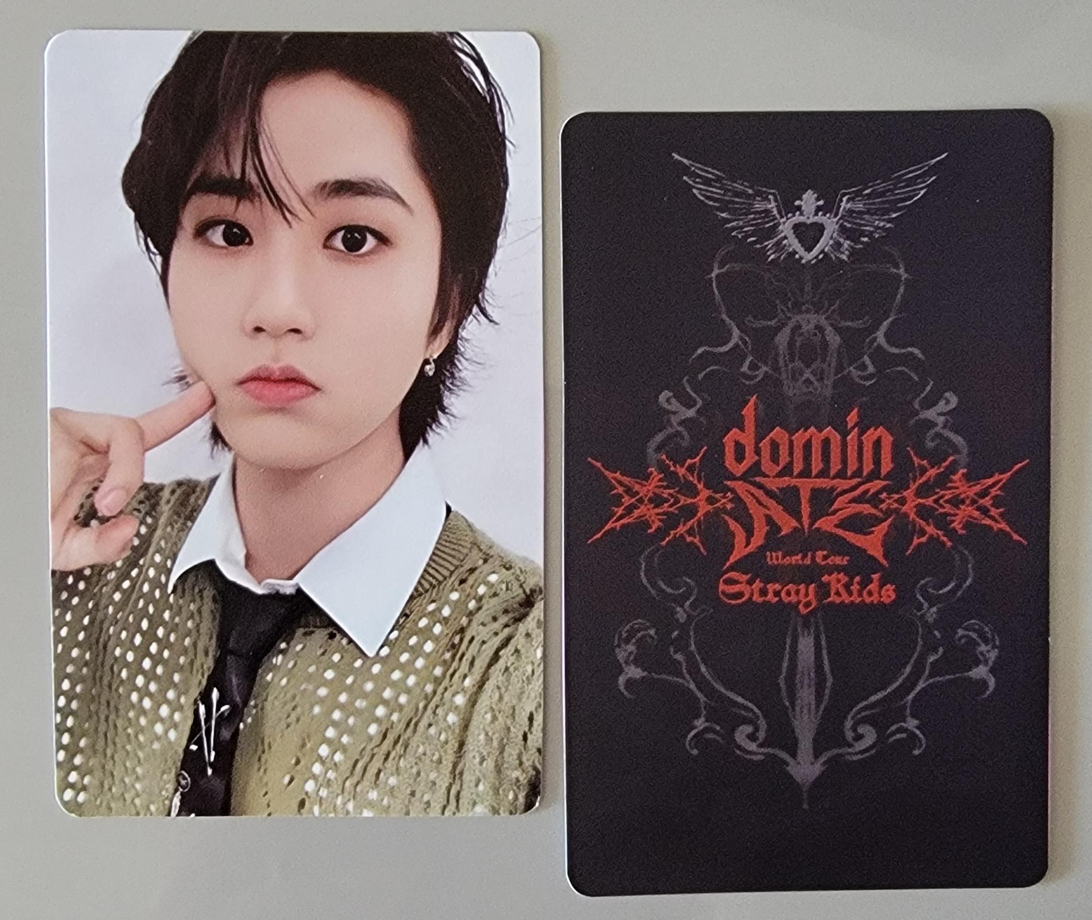 Amazon.co.jp: StrayKids スキズ ソウルコン STAYZONE トレカ2