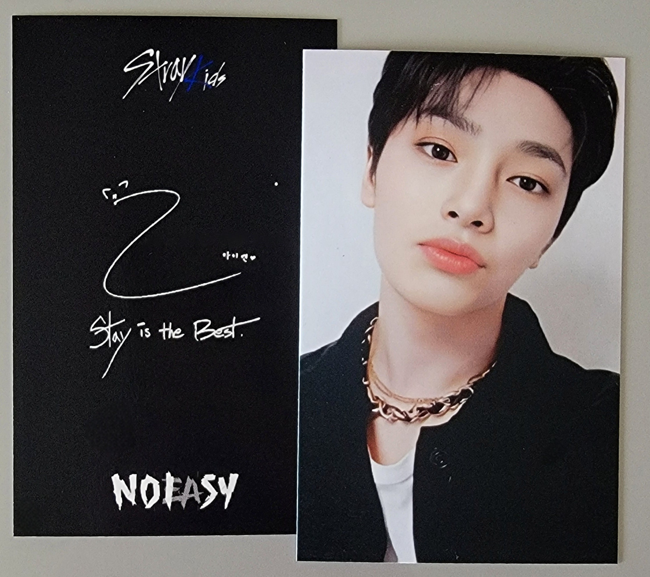 Stray Kids No Easy With Fans YZY 2 Videocall Photocards - Etsy