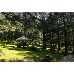 May include: A wooden gazebo with a green roof sits in a clearing in a forest. The gazebo is surrounded by tall trees and green grass.