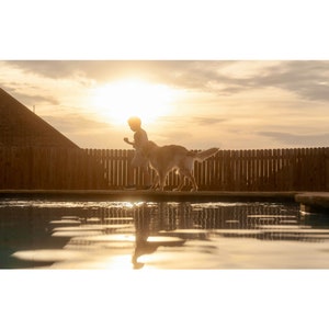 May include: A silhouette of a person and a dog running along the edge of a swimming pool at sunset. The sun is shining brightly in the background, and the water in the pool is reflecting the light.