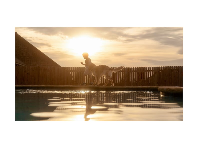 May include: A silhouette of a person and a dog running along the edge of a swimming pool at sunset. The sun is shining brightly in the background, and the water in the pool is reflecting the light.