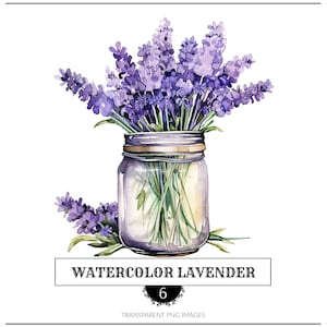 Watercolor Lavender Flowers in a Jar Clipart PNG graphics instant download for commercial use
