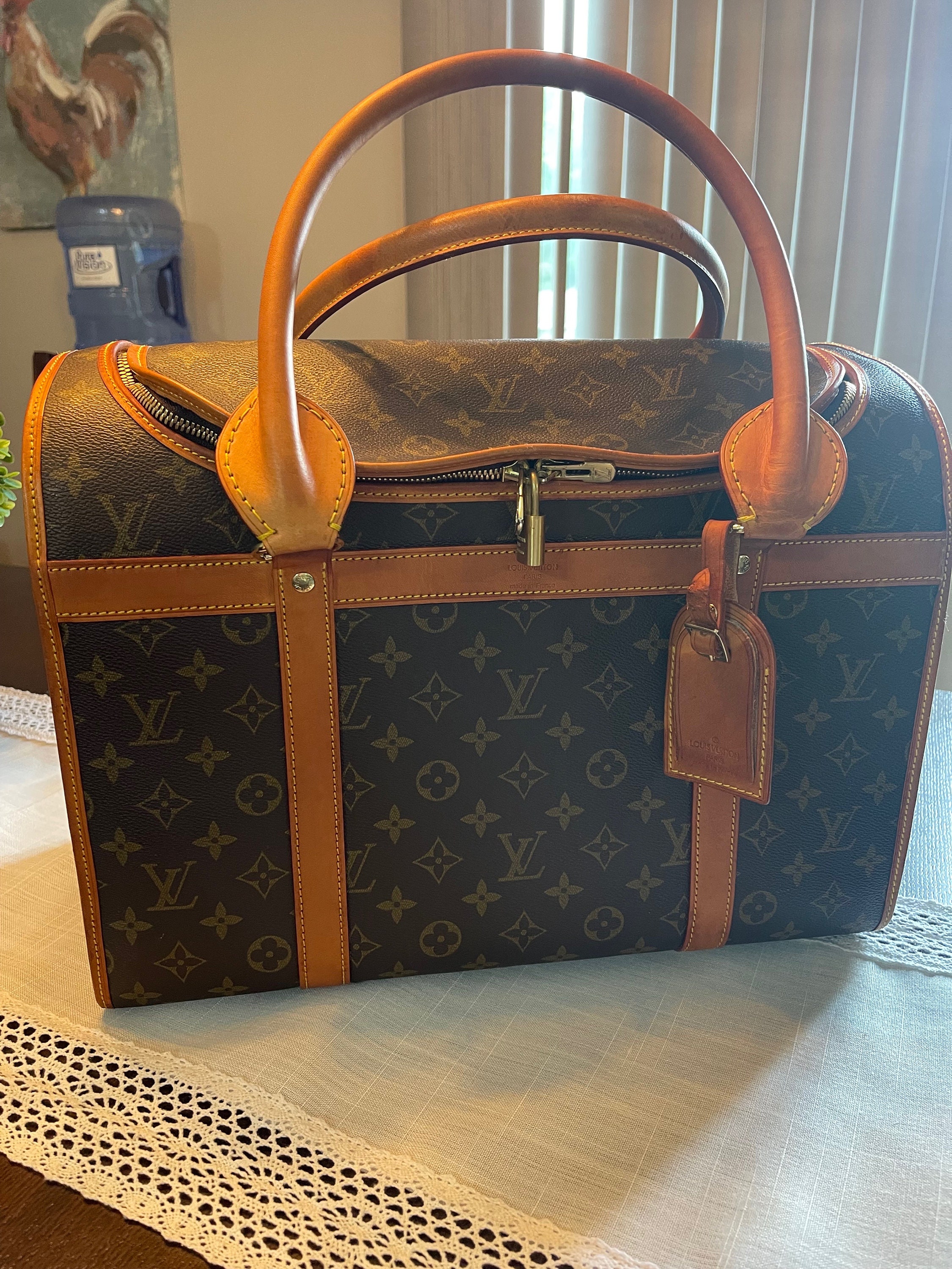 Louis Vuitton Dog Bag, Dog Carrier bag