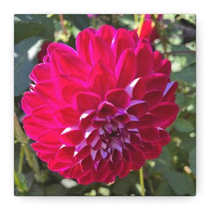 Vibrant Flower Wall Art, Canvas Print, Home Decor, Gift Idea, Nature Inspired, Floral Wall Decor