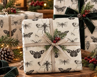 Vintage Insects and Beetles Wrapping Paper | Gift Wrap | Paper Ephemera