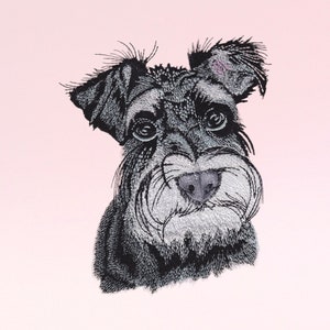 May include: A black and white miniature schnauzer with a fluffy beard and eyebrows. The dog is looking directly at the viewer with a curious expression.