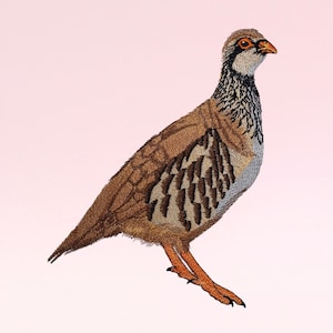 Perdiz - Bordado de aves - Bordado a máquina - Diseños digitales - Descarga instantánea