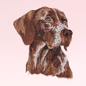 Peut inclure: Un chien Braque Allemand à poil court brun et blanc avec une tache blanche sur la poitrine et une tache blanche sur le nez. Le chien regarde vers la droite de l'image.