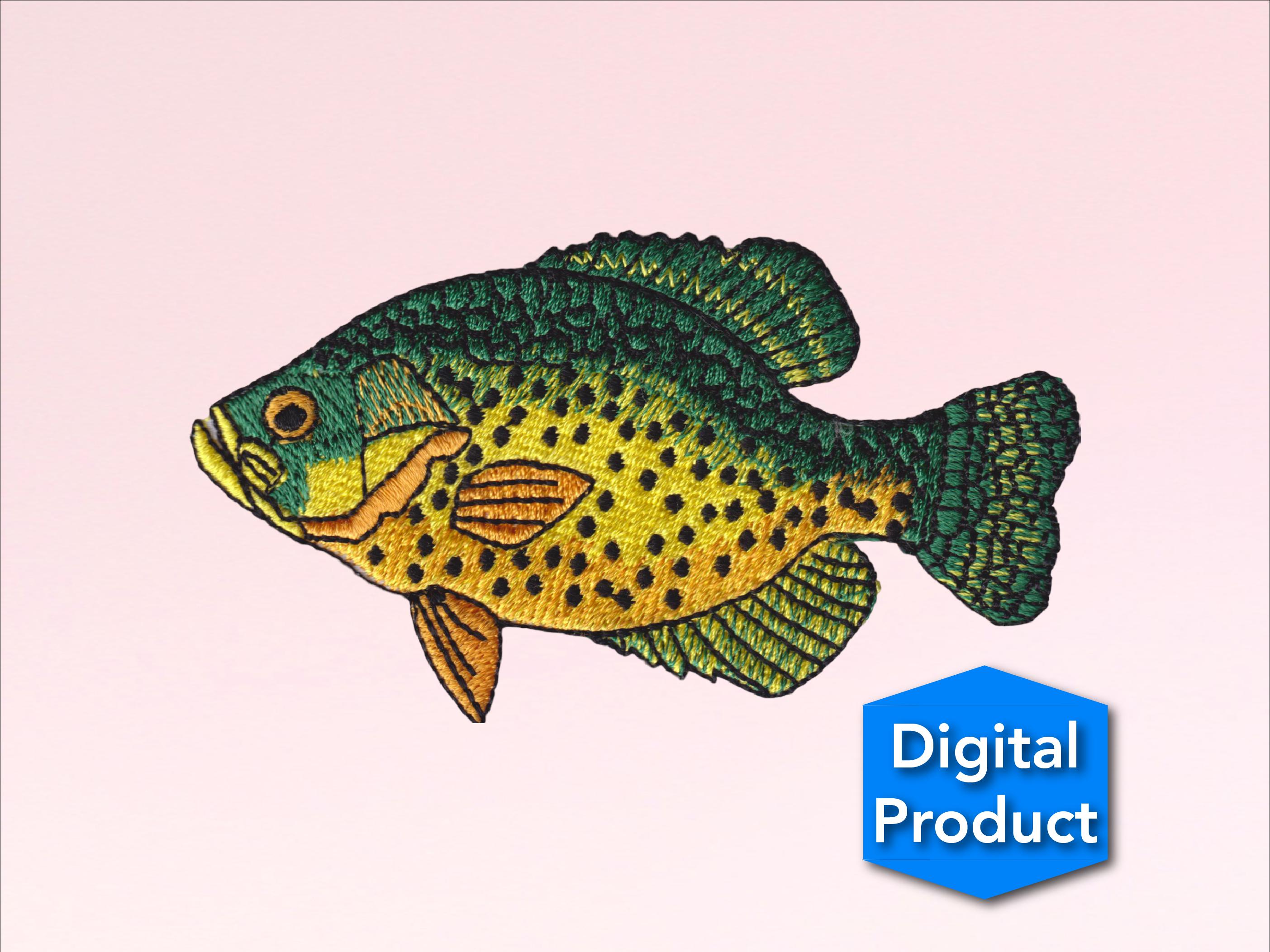 Crappie Fish Embroidery Design – Detailed Animal Pattern (digital ...