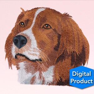Spanielhund - Broderi av djur och husdjur - Maskinbroderi - Digitala mönster - Direkt nedladdning