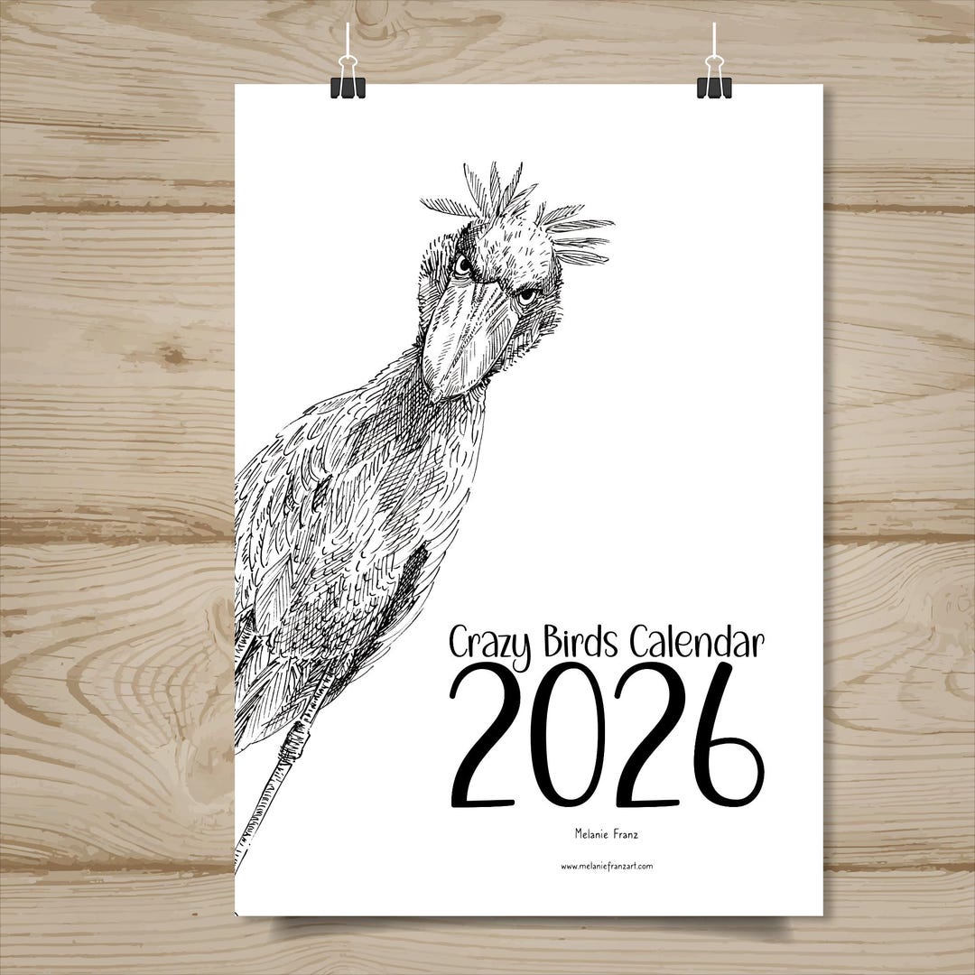 2026 Printable Bird Calendar | A4 | Funny Bird Drawings | Monday Start ...