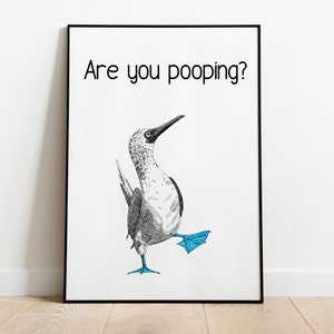 May include: A black and white illustration of a blue-footed booby bird with the text "Are you pooping?" printed above it.