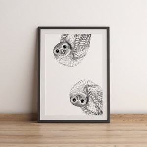 Zwei PEEKABOO Eulen Zeichnung, Schwarz & Weiß Kunst, neugierig niedlichen Tier Natur Vogel Druck, Printable Poster sofortiger Download, Kinder-Kinderzimmer-Dekor