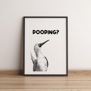 May include: Framed art print featuring a black and white illustration of a bird with the text "POOPING?" in bold, black letters. The bird has a long beak and is set against a white background.