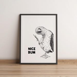 May include: Black and white framed art print featuring a detailed illustration of a penguin looking over its shoulder. The text "NICE BUM" is printed in bold, black letters below the penguin.
