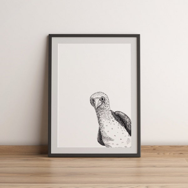 Curious Blue footed Booby Wall Art, Black & White Ink Drawing, Peekaboo Animal Bird Print, Minimalist Printable Poster, Kids Nursery Decor