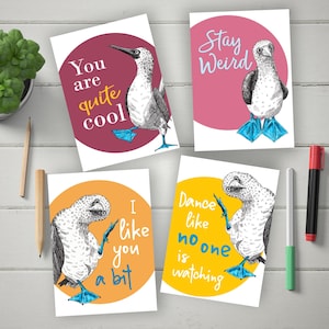 Conjunto de 4 curiosas tarjetas de felicitación imprimibles de piquero de patas azules / descarga instantánea / Frase divertida bailando tarjetas coloridas de pájaro piquero para un amigo