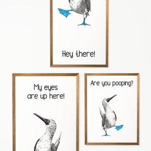 May include: Three framed prints featuring a blue-footed booby bird. The top print shows the bird with its feet up in the air and the text "Hey there!" The middle print shows the bird with its head tilted up and the text "My eyes are up here!" The bottom print shows the bird with its feet up in the air and the text "Are you pooping?"